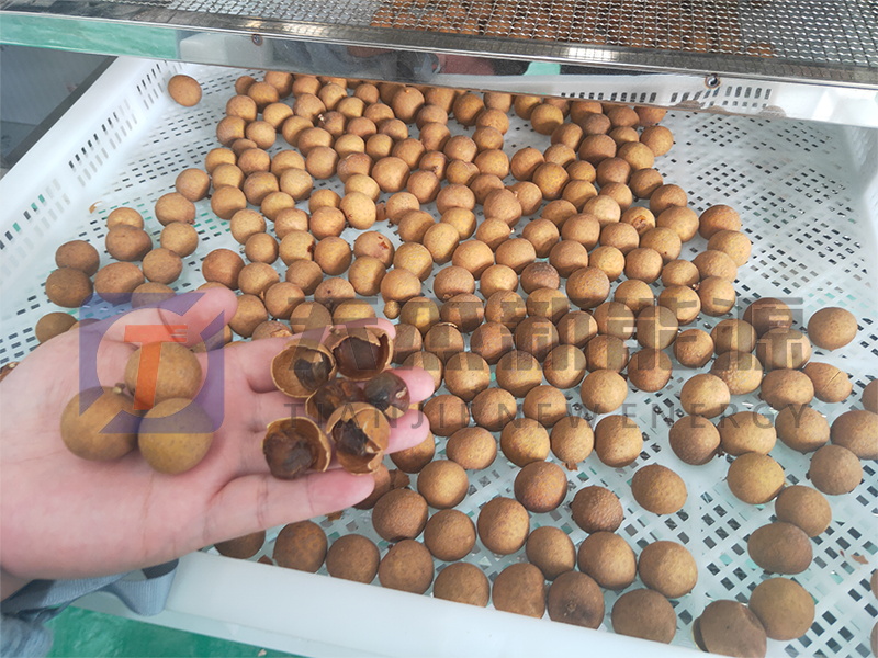 天杰新能源?；葜蔟堁酆娓蓹C(jī)開機(jī)大吉